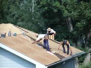 Crew installing plywood decking sheets on residential roof framing